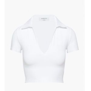Aritzia Babaton Contour Polo